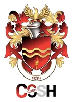 COSH Qualifications (UK)