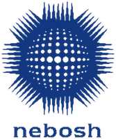 NEBOSH IDip logo